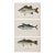 White Bass, Bonito & Weakfish - Original Fish Prints by Denton Circa 1903, S/3 For Sale