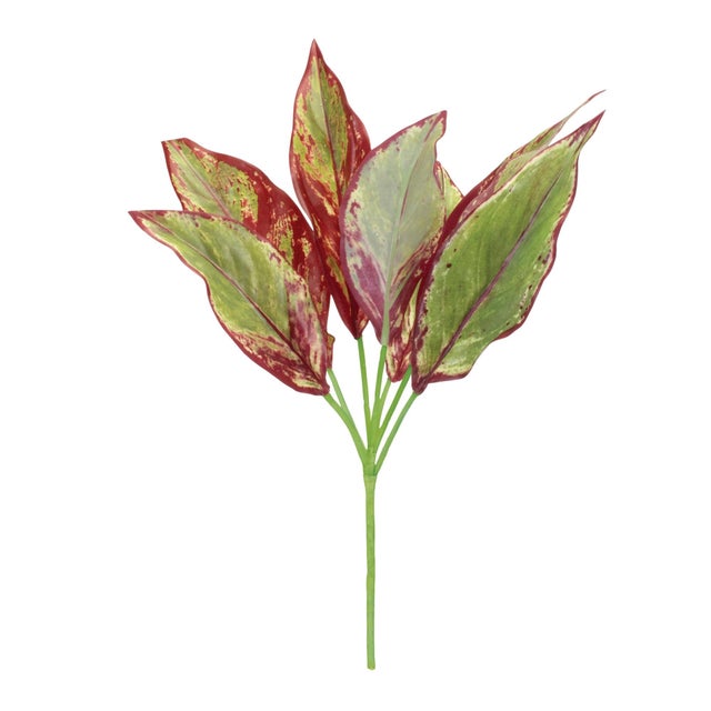 Bring the beauty of nature indoors with the Variegated Foliage Plant Set. This collection of lush faux stems combines...