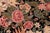 1990s Elegant FLoral David Pak-Persian Black/Green Wool Rug - 8'1'' X 10'1'' For Sale - Image 5 of 9