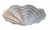 John Dickinson Style White Plaster Shell Form Pendant Light Fixture.