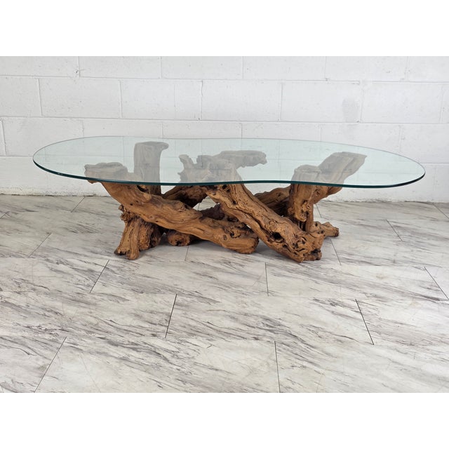 Wood Mid 20th Century Olive Root Driftwood Coffee Table For Sale - Image 7 of 12