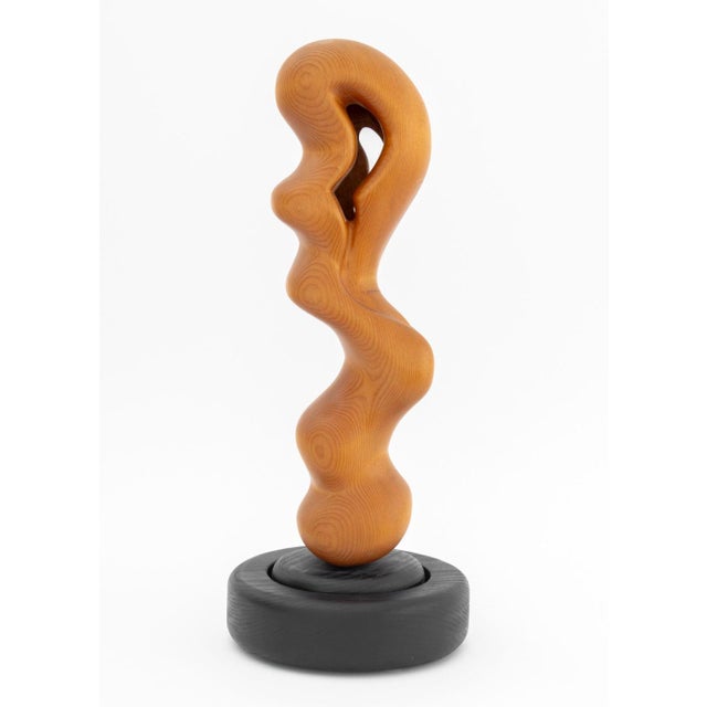 Contemporary Late 20th Century Modernist Biomorphic Wood Revolving Sculpture For Sale - Image 3 of 8