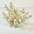 Coastal Boho Chic Natural Ivory White-Dove Grey Branch Coral Specimen. For Sale - Image 10 of 12
