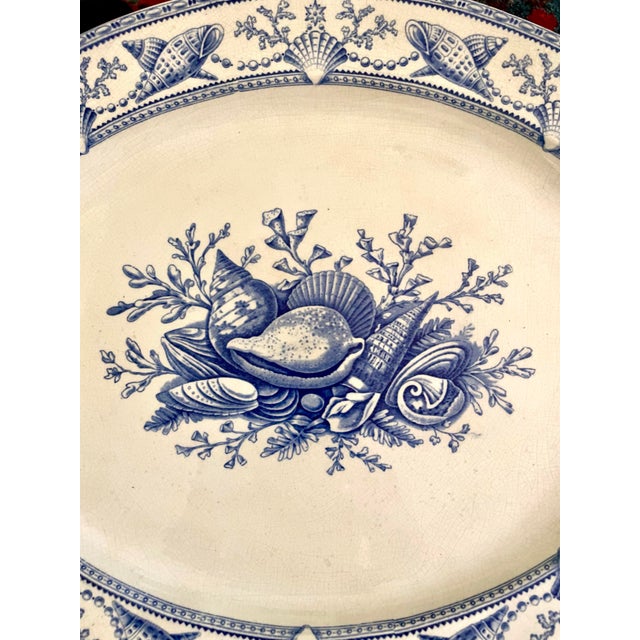 This is a stunning Blue and white English platter depicting sea shells and coral along with pearl and scallop trim edge....