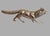 Large Silver Fox, 1904 For Sale - Image 3 of 9