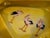 Antique Royal Bayreuth Bavarian Yellow Porcelain Stork Candlestick & Trinket Dish/Ashtray Set - 2 Pieces For Sale - Image 10 of 12
