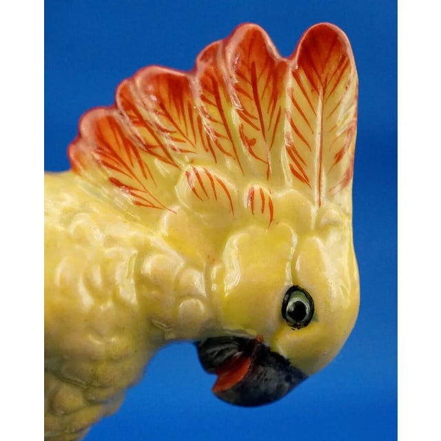 20th Century Porcelain Cockatoo Parrot Sculpture from Rudolstadt Volkstedt Manufacture, Germany For Sale - Image 18 of 18