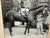 Photography Vintage 45 Original Bert Morgan Sonnet Ke Belmont Horse Racing Jockey Photograph For Sale - Image 7 of 9