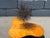 1980s Large Mid Century Bronze Dandelion Sculpture For Sale - Image 10 of 13