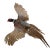 Taxidermy Pheasant in Mid Flight For Sale