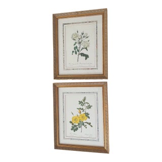 1970s Custom Framed Redouté Collection Les Roses Botanical Prints 19”x24” -a Pair For Sale