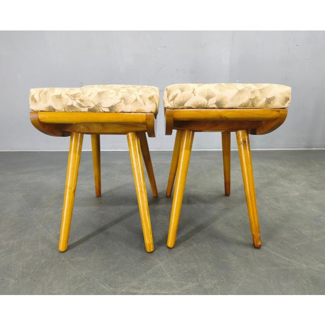 Mid-Century Modern Maple Ottomans, Czechoslovakia, 1960s, Set of 2 For Sale - Image 3 of 13