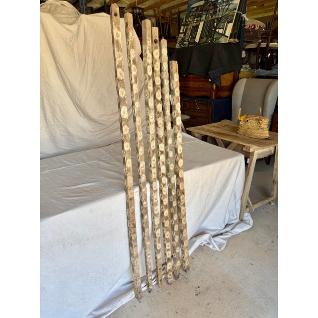 Wood oyster sticks were used by oyster farmers in the South of France to cultivate oysters. The poles were attached to...