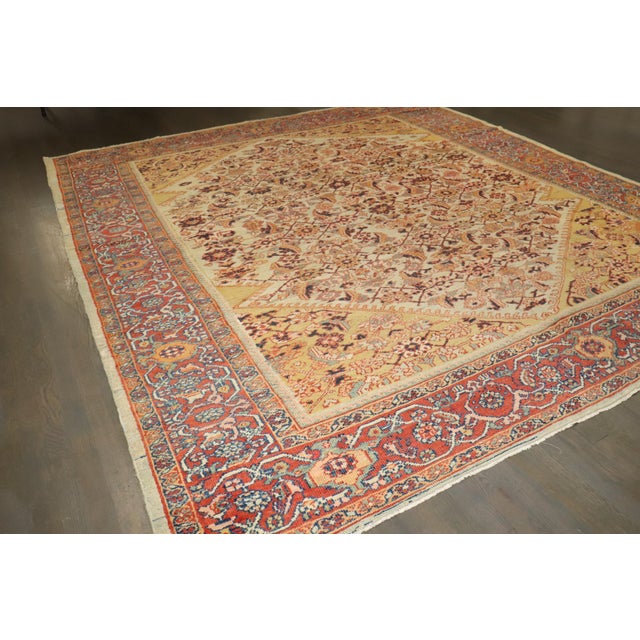 Early 20th Century Zabihi Collection Dramatic Square Size Mahal Sultanabad Rug For Sale - Image 5 of 12