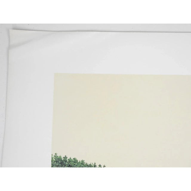 1970s 1974 Mel Hunter Tennessee Walking Horse Lithograph For Sale - Image 5 of 5