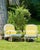 Canary Yellow Outdoors and Indoors Contemporary Pastel Yellow Cylinder Pillows, by Arlene Angard, Set of 2 For Sale - Image 8 of 10