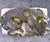 Mid 20th Century Cast Stone Dog Garden Ornament Statue With Moss Patina Mid 20th Century For Sale - Image 5 of 15