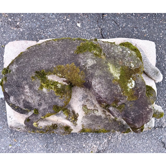 Mid 20th Century Cast Stone Dog Garden Statue With Moss Patina Mid 20th Century For Sale - Image 5 of 15