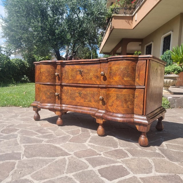 Brown Ferrarese Chest of Drawers in Walnut Burl, 1720s For Sale - Image 8 of 13