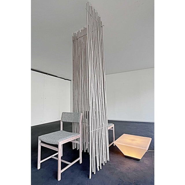 Wood Grey Lacquered Rattan Room Divider by Gunter Lambert, 2008 For Sale - Image 7 of 8