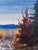 Rustic European Vintage Original Landscape Oil Painting For Sale - Image 3 of 12