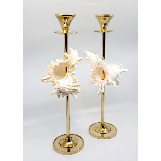 Brass Brass Candlesticks Shells Seashells Pair For Sale - Image 8 of 15