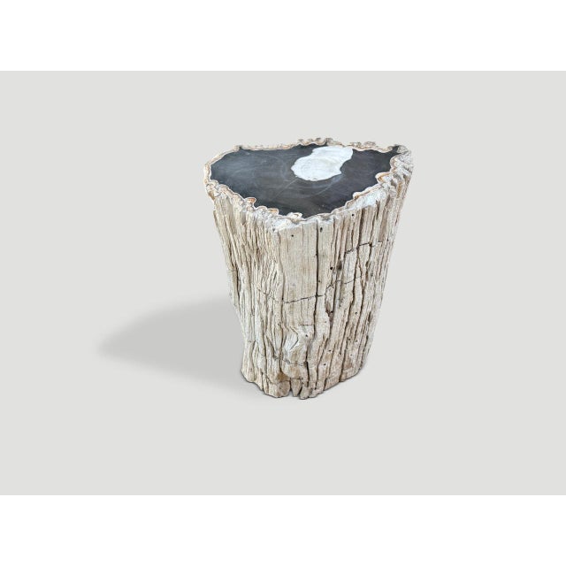 Andrianna Shamaris Abstract High Quality Petrified Wood Side Table For Sale - Image 12 of 18