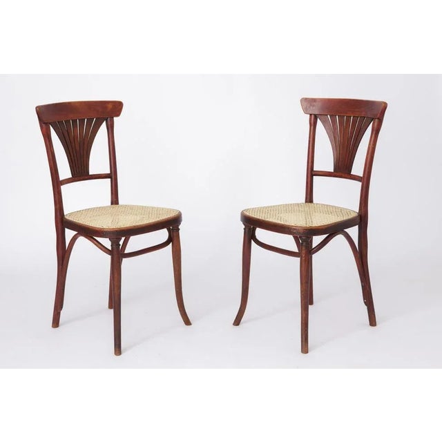 Set of Vintage #221 Chairs from Thonet For Sale - Image 11 of 11