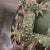 Ceramic Artist Signed Hawaiian Sculptural Dragon Vessel For Sale - Image 7 of 11