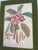 Vintage Wood Framed Botanical Prints For Sale - Image 10 of 12
