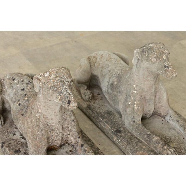 Early 20th Century English Pair of Cast Stone Whippet Garden Statues For Sale - Image 4 of 10