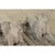 Early 20th Century English Pair of Cast Stone Whippet Garden Statues For Sale - Image 4 of 10