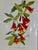 Set of 12 Vintage Botanical Prints Unframed For Sale - Image 9 of 14