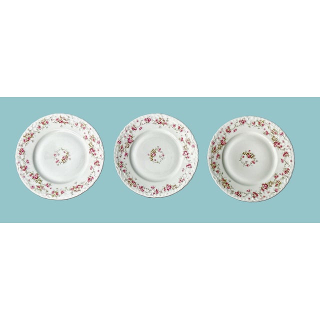 White Antique Haviland Limoges Plates, Set of 3 For Sale - Image 8 of 10