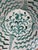 Green Large Spanish Fajalauza Lebrillo Bowl For Sale - Image 8 of 12