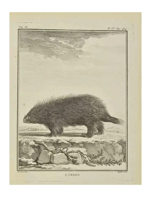Antoine Defehrt, L'Urson, Etching, 1771