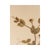 Rustic European Vintage Swedish Herbarium - Sweet Pea, Circa 1958 For Sale - Image 3 of 4