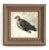 Wood Original 1911 French Belle Epoque Watercolor Painting of a Dove, Signed A. Vida For Sale - Image 7 of 7