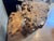 Wood Handcrafted Burlwood Table - One of a Kind Statement Piece For Sale - Image 7 of 11