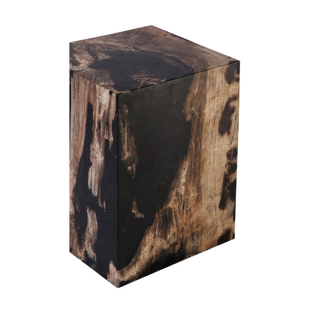 Organic Modern Petrified Wood Stool Accent Table For Sale In Greensboro - Image 6 of 8