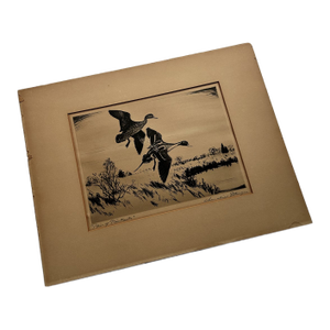 Churchill Ettinger "Pair of Pintails" Black & White Drypoint Etching, 1942