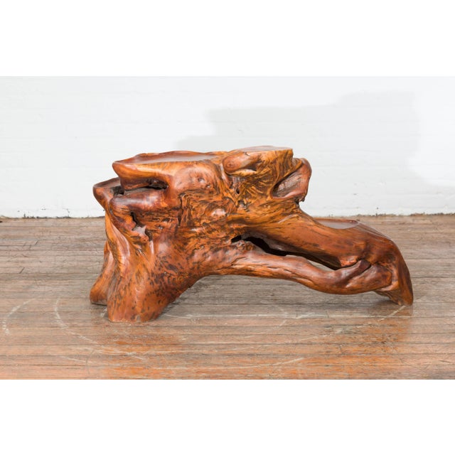 Asian Indonesian 20th Century Lacquered Root Stand Drilled to Work as a Fountain For Sale - Image 3 of 13