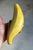 Italian Glazed Ceramic Banana Sculpture (After Warhol) (After Maurizio Cattelan) For Sale - Image 10 of 18