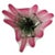 Boho Chic Vintage Bohemian Glass Pink and Green Glass Bowl by Josef Hospodka for Chřibská, 1960s For Sale - Image 3 of 6