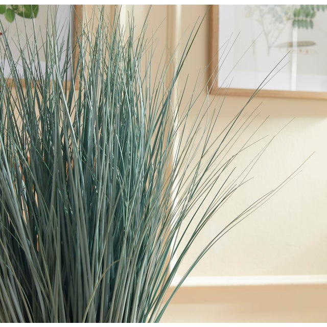 Blue Oat Grass Drop-In 32" For Sale In Chicago - Image 6 of 6