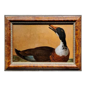 19th Century Study of a Colorful Goose Oil Painting