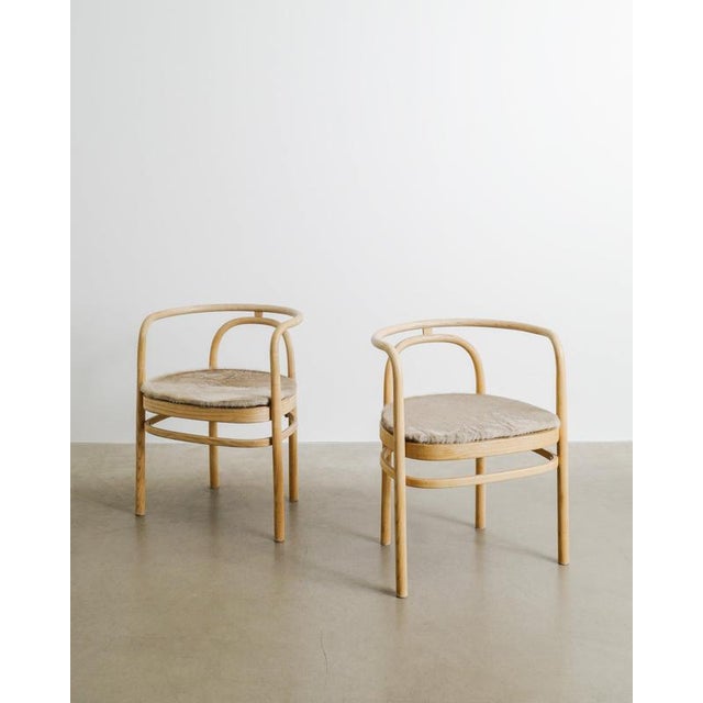 Danish Ash and Cane PK15 Dining Chairs by Poul Kjaerholm for PP Møbler, Denmark, 1990s For Sale - Image 6 of 10