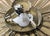 1950s Spanish Ceiling Lamp with Gilded Iron and Floral Motif, 1950s For Sale - Image 5 of 9
