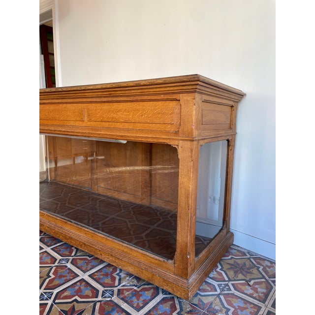 Metal Vintage Display Cabinet in Oak, 1920s For Sale - Image 7 of 12