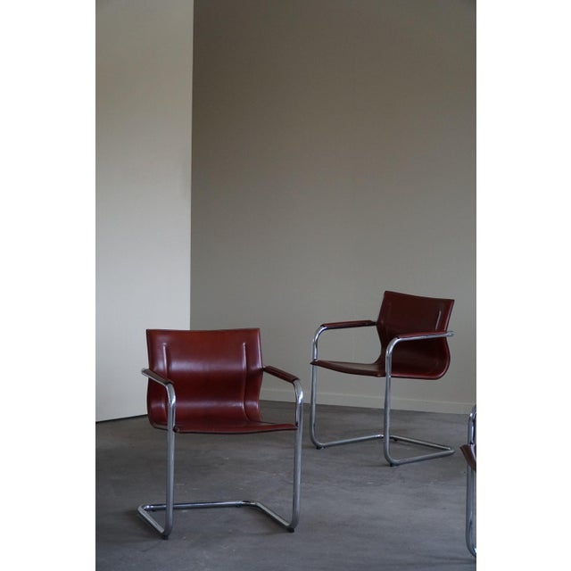 Matteo Grassi Italian Cantilever MG15 Armchairs in Leather by Matteo Grassi, 1970s, Set of 5 For Sale - Image 4 of 18